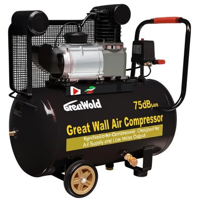 qualità Livello di rumore pari o inferiore a 75 dB Compressore d'aria a grande parete Compressore d'aria sintetico progettato per l'approvvigionamento d'aria e la produzione di basso rumore fabbrica