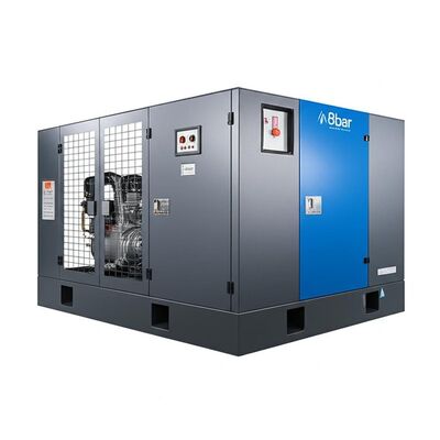 qualità Sistema compressore rotativo sintetico a 8 bar che offre un'erogazione di pressione costante e prestazioni robuste in condizioni difficili fabbrica